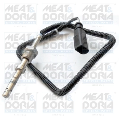 Sensor, exhaust gas temperature
